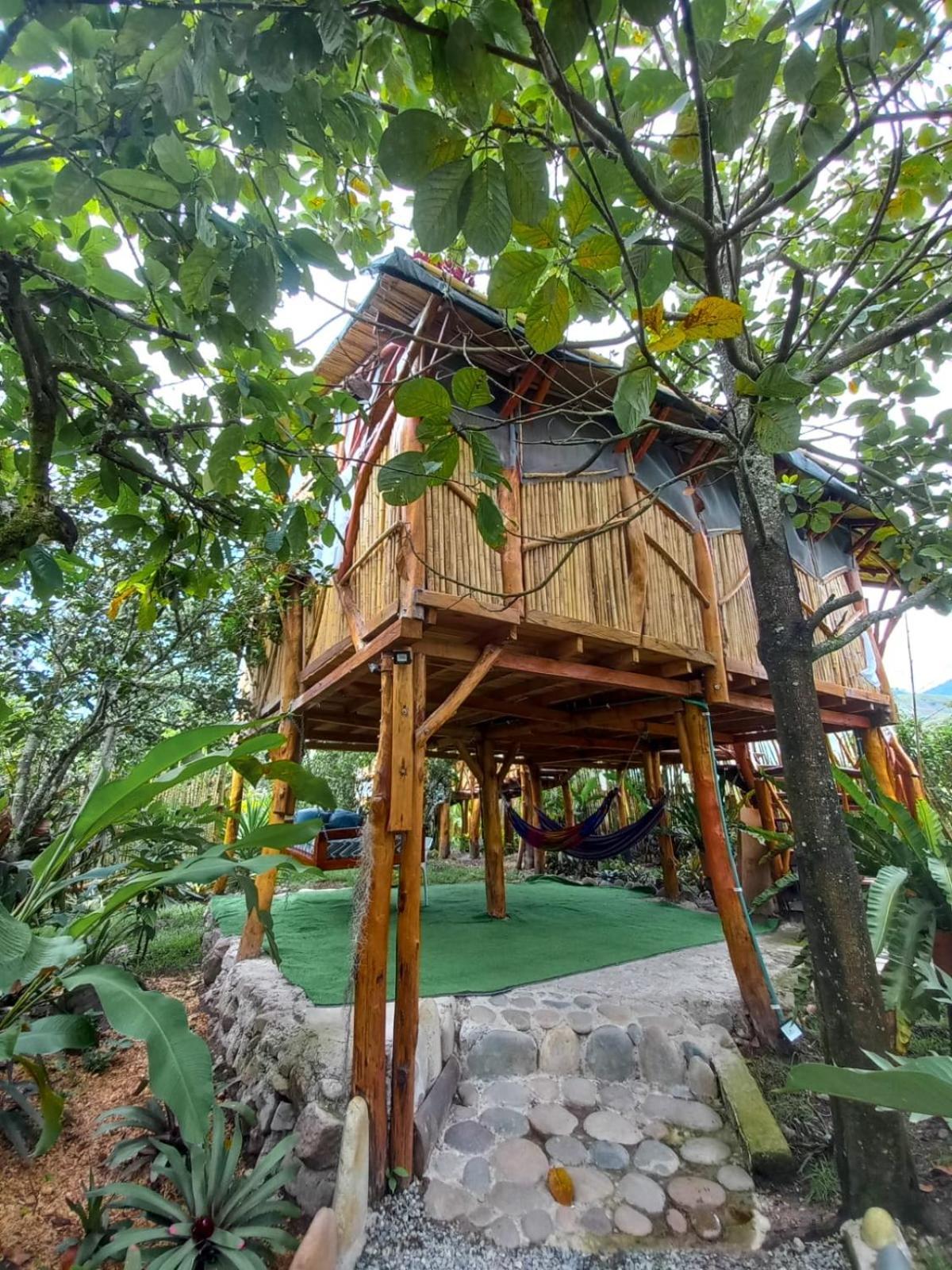 Villa Sonia Eco-Hostel Gigante Kültér fotó