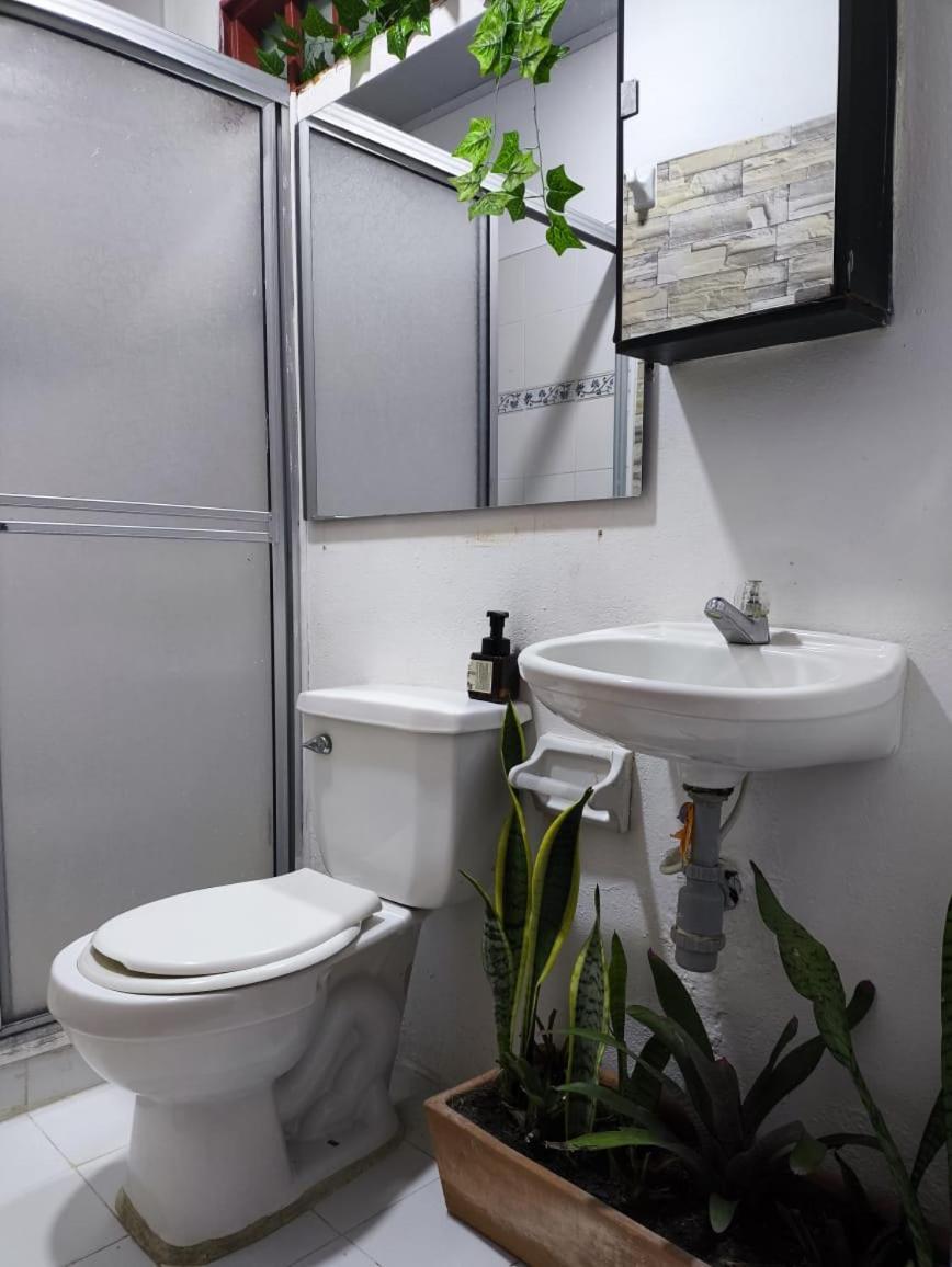 Villa Sonia Eco-Hostel Gigante Kültér fotó