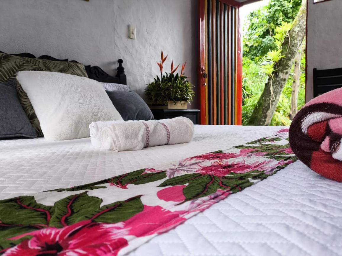 Villa Sonia Eco-Hostel Gigante Kültér fotó